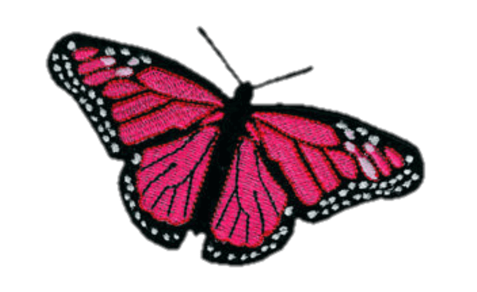 ピンクの蝶